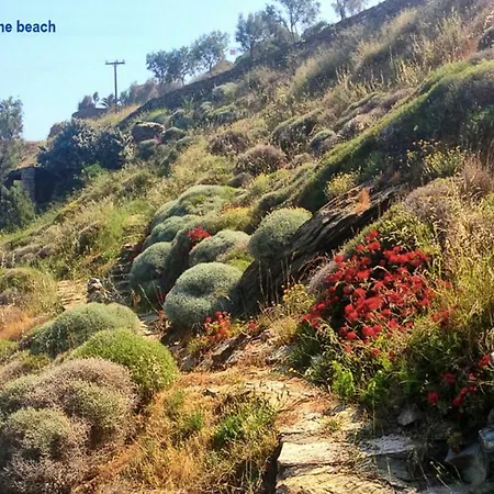 וילה Amelia Beachfront Korissia (Kea)