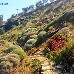Villa Amelia Beachfront Korissia (Kea)