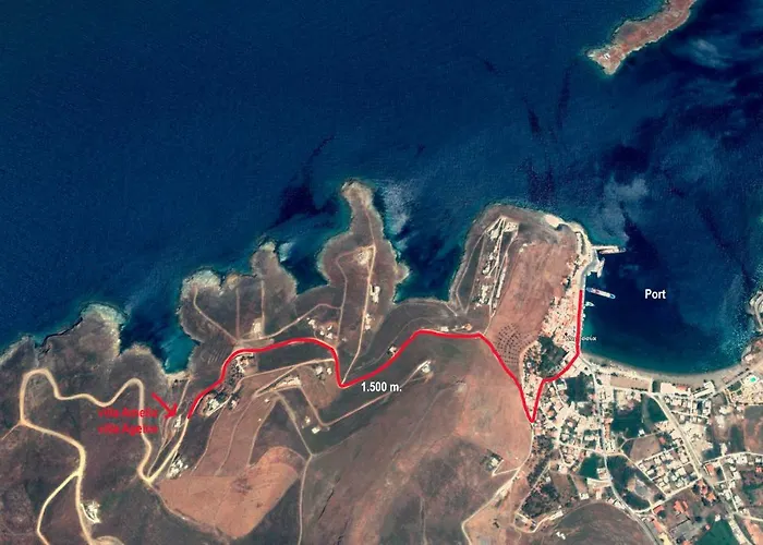 Amelia Beachfront Villa *