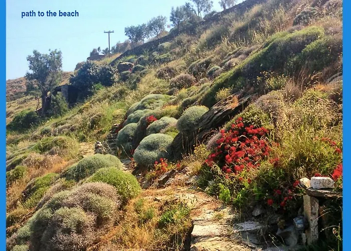 Vila Amelia Beachfront Korissia (Kea)